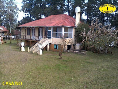 0929hp135 Ha Rio Parana Rn 197-islas Del Paraná-tigre