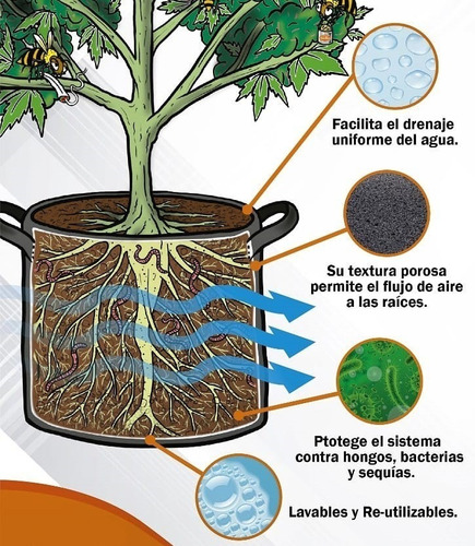 Imagen 5 de 10 de Mejor Maceta Tipo Smartpot Geotextil 3 Litros