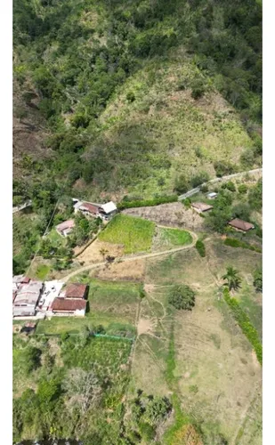 Finca Cafetera En Venta En Andes - Antioquia