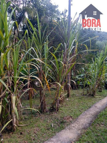 Imagem 28 de 30 de Sítio Com 2 Dormitórios À Venda, 8646 M² Por R$ 600.000,00 - Ponte Alta - Mairiporã/sp - Si0031