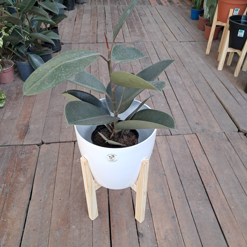 Maceta Premium 27 + Pie Nórdico 35 Combo Deco Plantas Blanco Premium 27