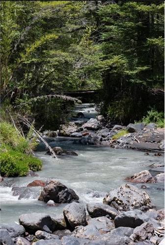 Vendo Parcela 5000m2 En Rinconada De Pucon Curarrehue