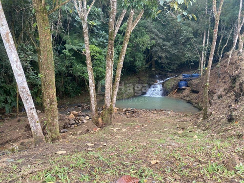 Imagem 23 de 30 de Sítio À Venda No Bairro Limeira - Brusque/sc - 2014
