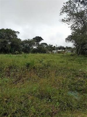 Imagem 1 de 2 de Terreno No Litoral Com 362 M², Em Itanhaém/sp 4509