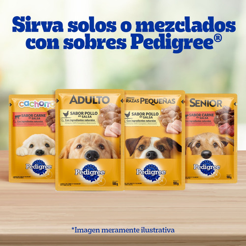 Pedigree Sano Crecimiento Etapa 1 Perro Cachorro 21kg