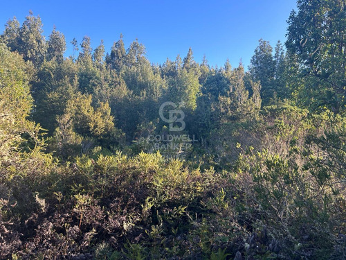 Parcela A Orilla De Rio Con 8000mtr2 C/u