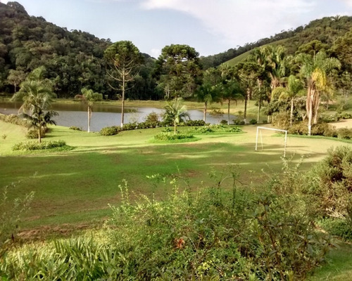 Imagem 21 de 30 de Excelente Sítio Rico Em Água Á Venda Em Juquitiba. - 194 - 32982689