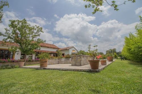 Imagen 21 de 30 de Rancho Morera En Venta, Carretera A Dolores Hidalgo En San M