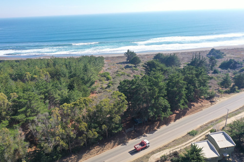 Desarrollo Inmobiliario Frente Al Mar En Punta De Lobos