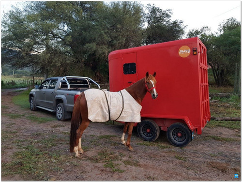Imagen 4 de 14 de Jaula Para 2 Caballos Deluxe (ja1013)