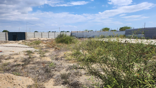 Vendo Lote En Castilla - Piura 3000 Mt2