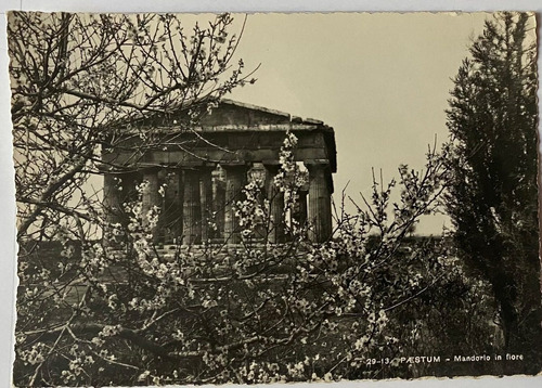 Antigua Postal, Templo, Flores, B/n, Paestum, Italia, P0271