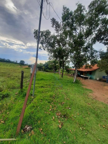 Imagem 4 de 14 de Sítio 25 Hectares - 0034