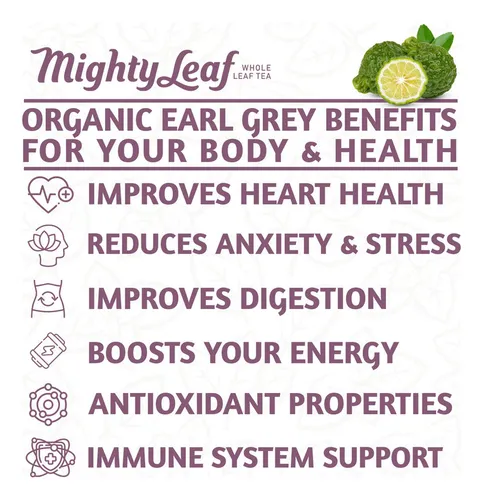 Té Oscuro Mighty Leaf Té Earl Grey Orgánico, 100 Bolsitas De