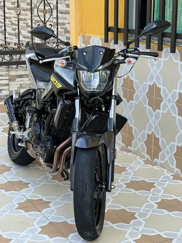 Mt03