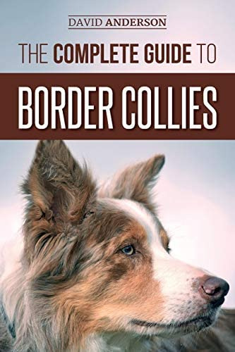 Libro: The Complete Guide To Border Collies: Training, And
