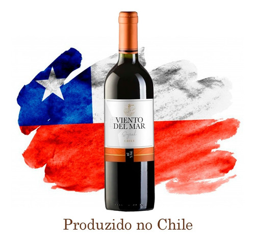 Vinho Tinto Chileno Viento Del Mar Syrah 750 Ml