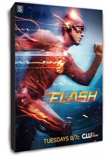 Cuadro De Flash Y Todos Tus Héroes Dc Comics