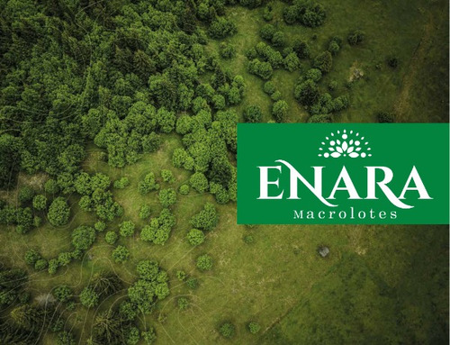 Imagen 4 de 4 de Macro Lotes En Venta En Enara Tetiz, Mérida Yucatán