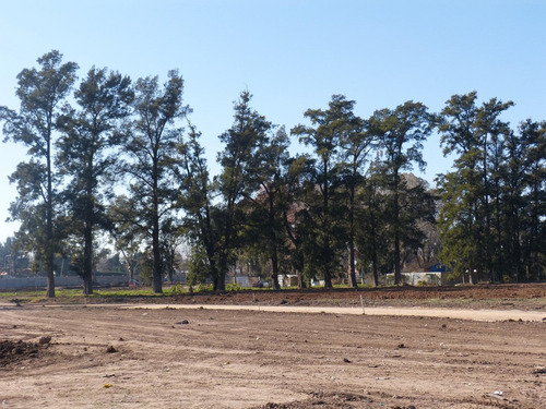 Imagen 4 de 16 de Terreno Lote En Venta Ubicado En Pinazo, Del Viso, Pilar