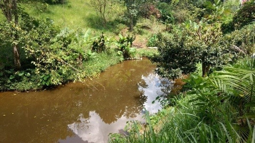 Imagem 8 de 15 de Venda Chácara Com Lago Em Itapecerica Da Serra - Vi137