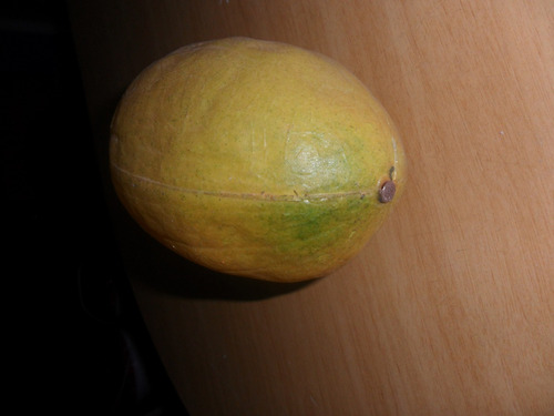 Fruta Artificial Decorativa Limon, Naranja, Melon,manzana