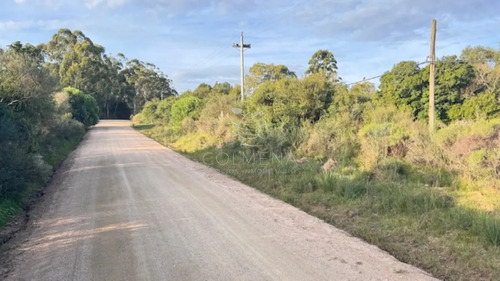 Campo De 4 Has 1602 M2 Muy Cerca De Ruta 12 Y La 9.