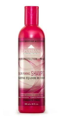 Shampoo La Puissance Color Fixing 300ml Proteccion De Color