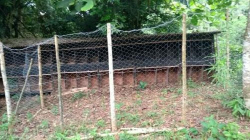 Imagem 15 de 17 de Chácara Com Riacho, Pomares De Arvores Frutíferas E Pés De Banana E Com Com 171.500 M² De Área Total, Em Miracatu Ref: 8564/ac