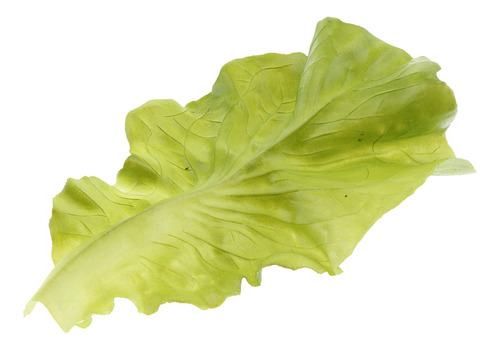 Artificial Realista Falsa Verdura Lechuga Modelo Decoración