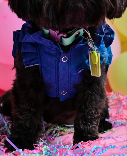 Camisa M Ropa Para Perro Gato Mascotas Accesorios