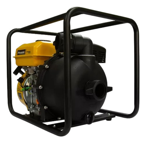 Motobomba Para Químicos  7hp Parazzimi 4t Premium.