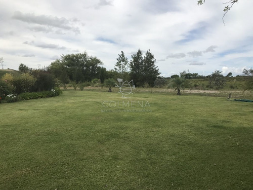 Imagen 18 de 30 de Venta De Chacra Sobre Ruta 9 A 30 Km De Jose Ignacio - Maldonado Ruta 9