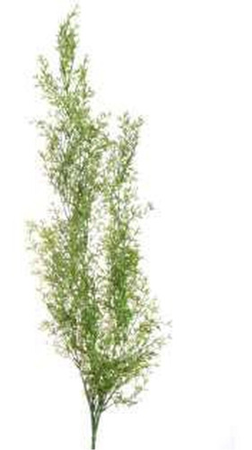 Planta Solidago Sencilla Verde 84 Cm    