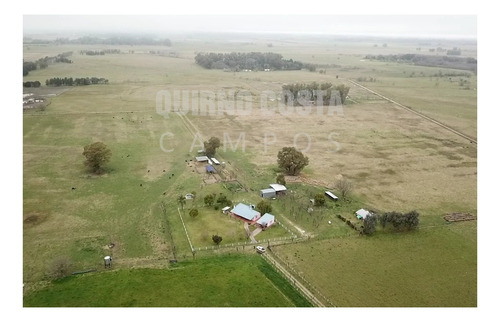 Imagen 9 de 13 de Campo Venta Las Heras Cabaña Producción Engorde Villars