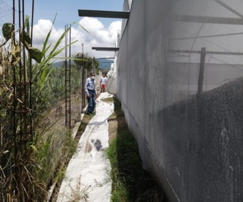 Imagen 7 de 12 de Venta Terreno Yautepec Morelos