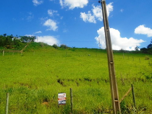 Imagem 3 de 5 de Lote Para Comprar No Bom Pastor Em Ponte Nova/mg - 4994