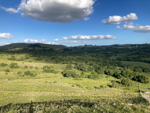 Vende Chacra Ruta 60, Ruta 81, Minas, Maldonado, Punta Del Este.