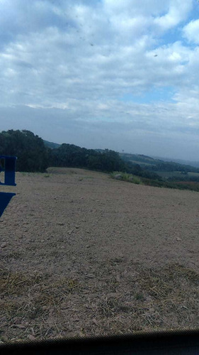 Imagem 1 de 12 de Terreno Agriculturável. Possui Um Posso Semi Artesiano