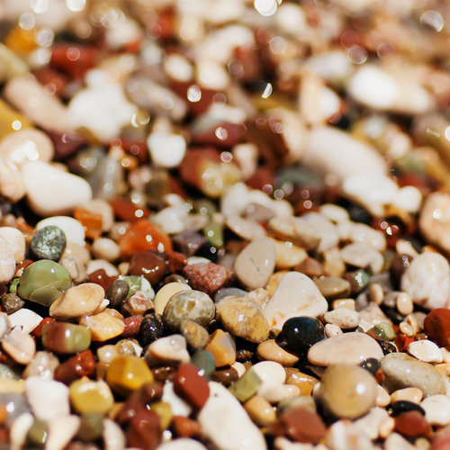 Brseeds Mix - Mix Para Pasto - Saco 10 Kg