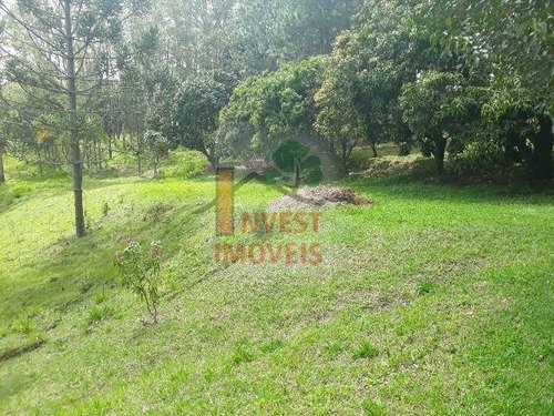 Imagem 14 de 15 de Sitio - Ref: 2924 - V-2924