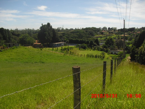 Imagem 5 de 5 de Terreno Com 2400,00m2 No Lajeadinho