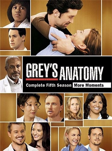 Grey's Anatomy - Temporada 5