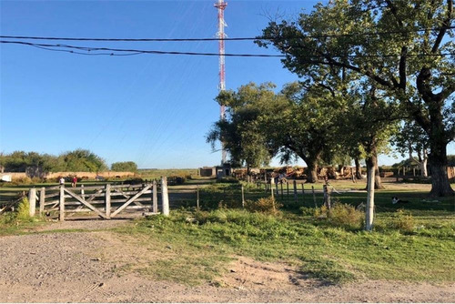Imagen 2 de 13 de Venta Terreno