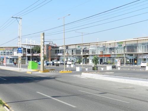 Imagen 4 de 6 de Renta De Locales Comerciales En Plaza Terranova, Desde 12 M2