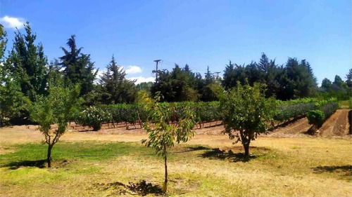 Imagen 12 de 19 de Campo Finca En Produccion Tunuyan Mendoza Valle De Uco