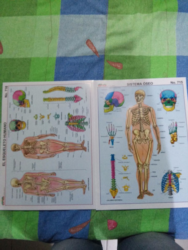 Materia Eduactivo Para Estudiantes Y Docentes(xdocena)