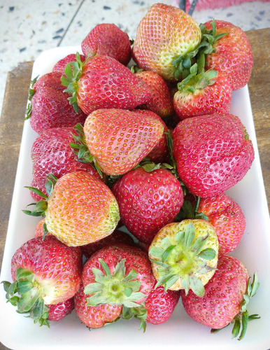 Imagen 7 de 7 de Fresas Por Cesta (al Mayor)
