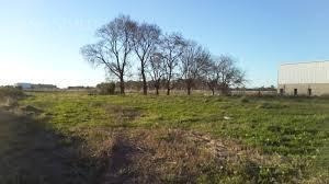 Imagen 5 de 8 de Excelente Lote De 5850 M2 En Parque Industrial Cañuelas