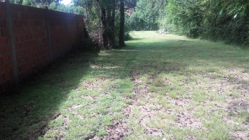 Venta Lote 10 X 56,5 La Lonja Pilar
